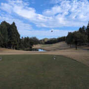 ヒメ日記 2025/11/12 16:11 投稿 しらゆり 奥鉄オクテツ兵庫