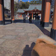 しらゆり お参り 奥鉄オクテツ兵庫