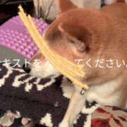 ヒメ日記 2025/12/22 10:06 投稿 しらゆり 奥鉄オクテツ兵庫