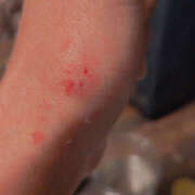 しらゆり もうあげない！ 奥鉄オクテツ兵庫