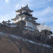 ヒメ日記 2025/12/28 09:23 投稿 しらゆり 奥鉄オクテツ兵庫