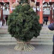 ヒメ日記 2025/12/28 14:40 投稿 しらゆり 奥鉄オクテツ兵庫