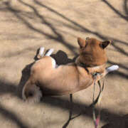 ヒメ日記 2026/02/22 13:00 投稿 しらゆり 奥鉄オクテツ兵庫