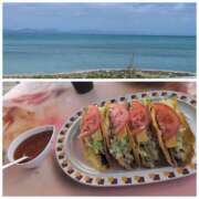 ヒメ日記 2026/02/25 08:40 投稿 しらゆり 奥鉄オクテツ兵庫