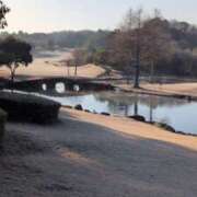 ヒメ日記 2026/03/11 08:11 投稿 しらゆり 奥鉄オクテツ兵庫