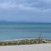 ヒメ日記 2026/03/13 21:40 投稿 しらゆり 奥鉄オクテツ兵庫