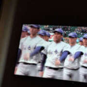 ヒメ日記 2026/03/19 09:47 投稿 しらゆり 奥鉄オクテツ兵庫