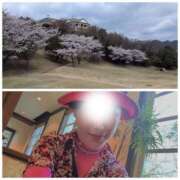 ヒメ日記 2026/04/02 18:25 投稿 しらゆり 奥鉄オクテツ兵庫