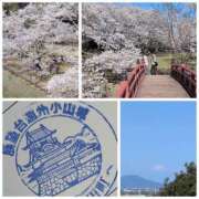 ヒメ日記 2026/04/04 08:19 投稿 しらゆり 奥鉄オクテツ兵庫