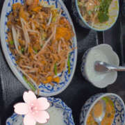 しらゆり さてと新幹線乗って 奥鉄オクテツ兵庫