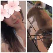 しらゆり あーん😵‍💫 奥鉄オクテツ兵庫