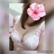 ヒメ日記 2025/02/17 14:30 投稿 ゆめか 奥鉄オクテツ兵庫