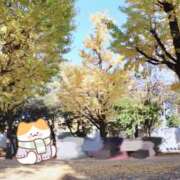 ヒメ日記 2024/11/26 05:14 投稿 蒼-Ao- 姉新地