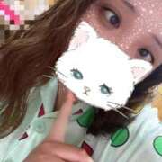 ヒメ日記 2025/05/10 10:53 投稿 りお 大高・大府市・東海市ちゃんこ