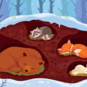 ヒメ日記 2024/12/20 23:00 投稿 ふたば 熟女の風俗最終章 宇都宮店