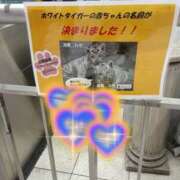 ヒメ日記 2025/04/30 06:31 投稿 ふたば 熟女の風俗最終章 宇都宮店