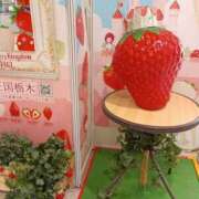 ヒメ日記 2025/04/30 09:12 投稿 ふたば 熟女の風俗最終章 宇都宮店