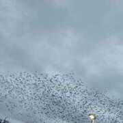 ヒメ日記 2025/10/19 17:29 投稿 ふたば 熟女の風俗最終章 宇都宮店