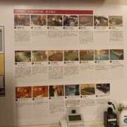 ヒメ日記 2026/08/22 06:21 投稿 ふたば 熟女の風俗最終章 宇都宮店