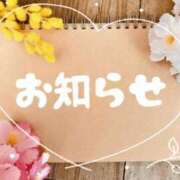 ヒメ日記 2026/06/08 08:03 投稿 かおり 秘密の出張部屋