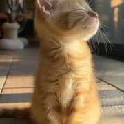 ヒメ日記 2025/08/18 17:41 投稿 のり 熟女の風俗最終章 仙台店