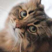 ヒメ日記 2025/09/18 11:44 投稿 のり 熟女の風俗最終章 仙台店