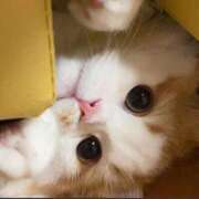 ヒメ日記 2025/09/23 09:15 投稿 のり 熟女の風俗最終章 仙台店