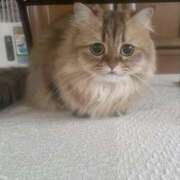 のり 11月は･･･ 熟女の風俗最終章 仙台店