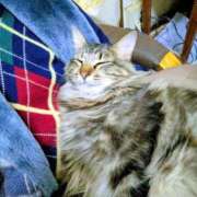 のり 12月は 熟女の風俗最終章 仙台店