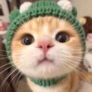 ヒメ日記 2025/12/25 14:49 投稿 のり 熟女の風俗最終章 仙台店