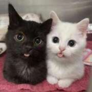 のり お久しぶりです 熟女の風俗最終章 仙台店