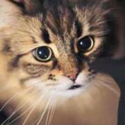 のり 〇〇の後に 熟女の風俗最終章 仙台店