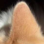 のり 今日は 熟女の風俗最終章 仙台店