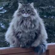 のり おはようございます😊 熟女の風俗最終章 仙台店