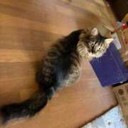 のり 出勤 熟女の風俗最終章 仙台店