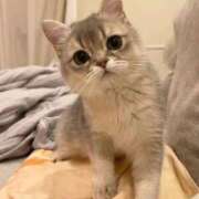 のり 出勤してます 熟女の風俗最終章 仙台店