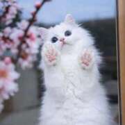 ヒメ日記 2026/04/01 17:04 投稿 のり 熟女の風俗最終章 仙台店