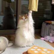 ヒメ日記 2026/04/21 19:44 投稿 のり 熟女の風俗最終章 仙台店