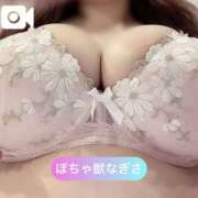 なぎさ 限定なぎぱい動画🔞💜 ぽちゃと野獣