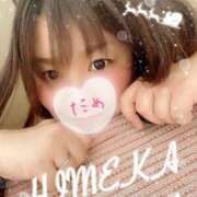 ヒメ日記 2024/12/18 23:09 投稿 ひめか 豊満奉仕倶楽部