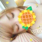 ヒメ日記 2025/08/03 18:39 投稿 ひめか 豊満奉仕倶楽部