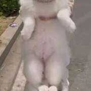 ヒメ日記 2026/04/26 11:37 投稿 みんと 熟女家 堺東店