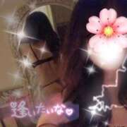 ヒメ日記 2026/07/08 09:56 投稿 みんと 熟女家 堺東店