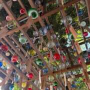 ヒメ日記 2025/08/11 22:41 投稿 いちご CECIL