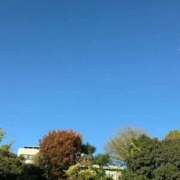 ヒメ日記 2025/11/28 14:06 投稿 いちご CECIL