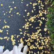 いちご ふゆ❄️ CECIL