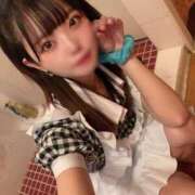 ヒメ日記 2025/01/03 13:19 投稿 こころ しゃんぜりぜ