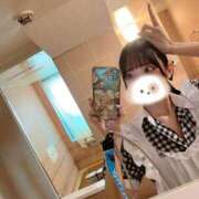 ヒメ日記 2025/08/08 12:01 投稿 こころ しゃんぜりぜ