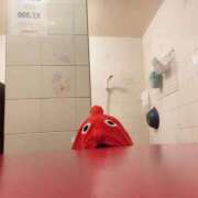 ヒメ日記 2025/10/31 18:06 投稿 こころ しゃんぜりぜ