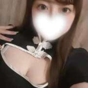 ヒメ日記 2026/02/20 19:22 投稿 あかり 品川ハイブリッドマッサージ